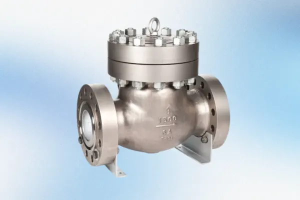 Swing Check Valve Manufacturer and Supplier