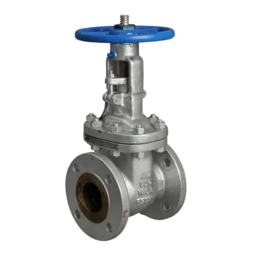 Industrial Gate Valve manufactured by Xstem Valve Industries, Ahmedabad