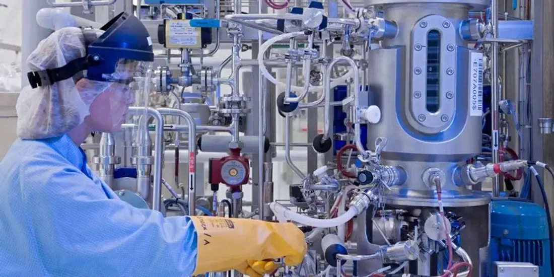 Pharmaceutical & Biotech